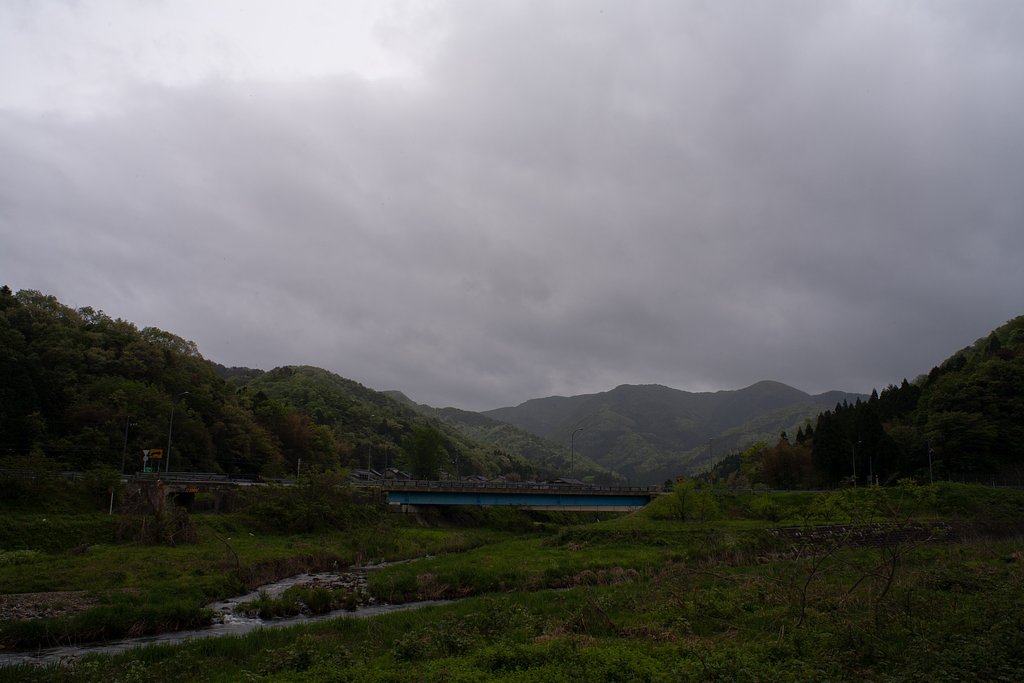 朝は小雨が降ってます。