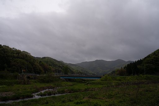 朝は小雨が降ってます。