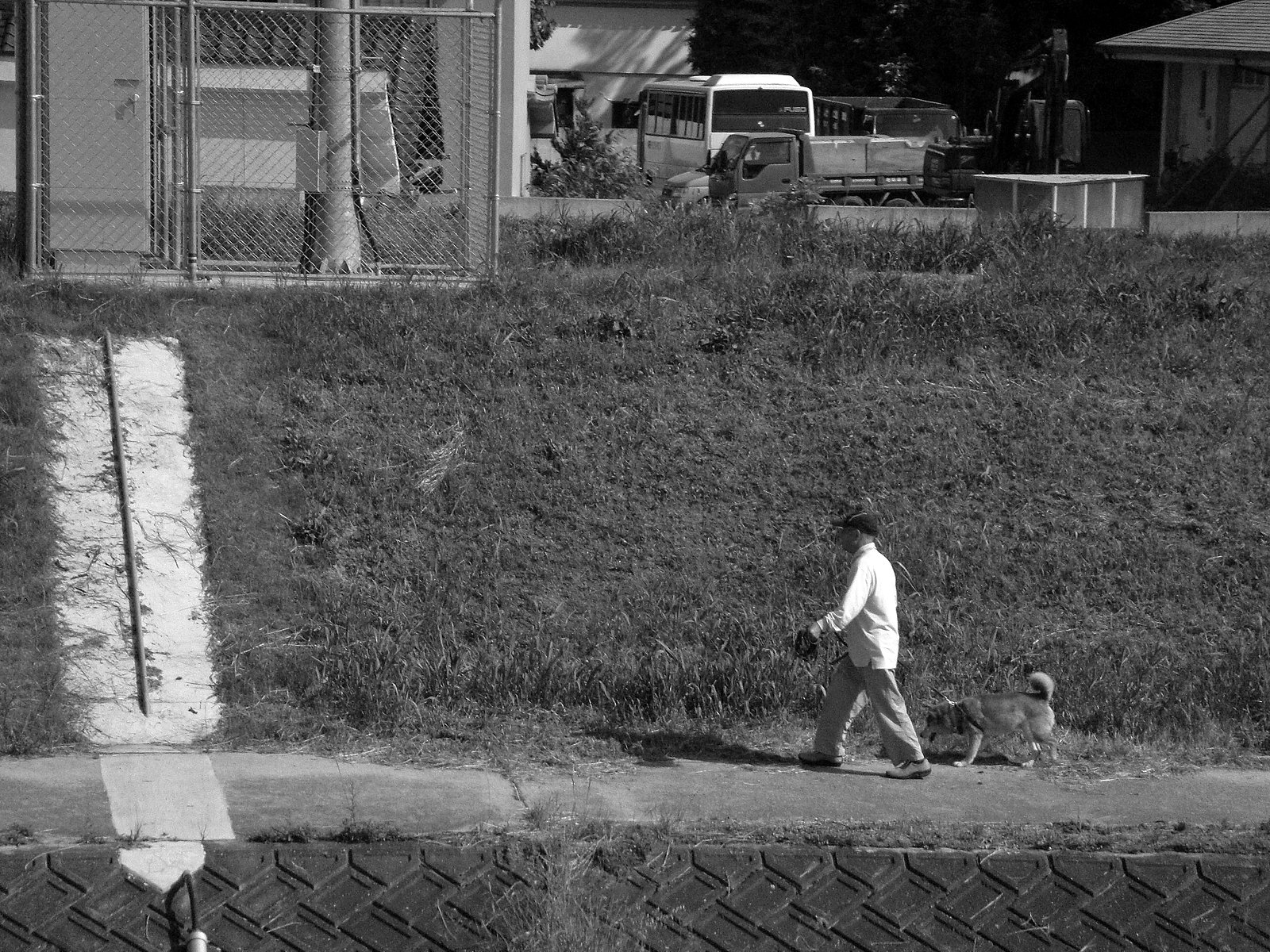 犬の散歩【道】