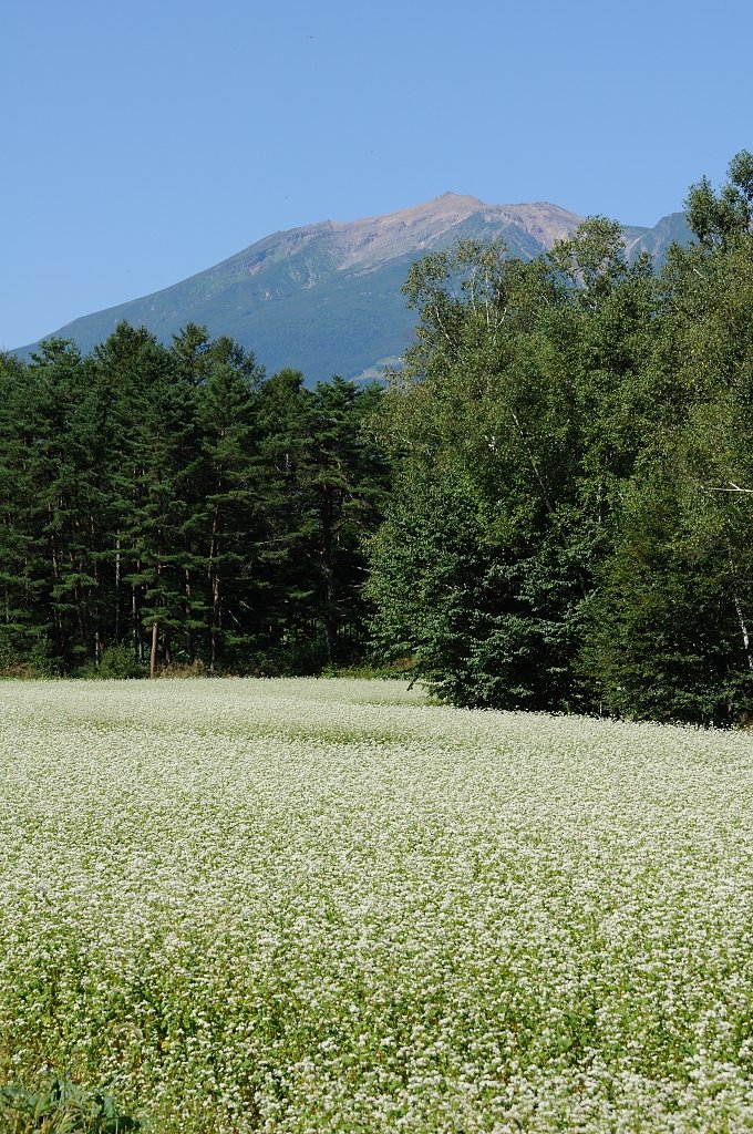 【日本】原風景の一つ