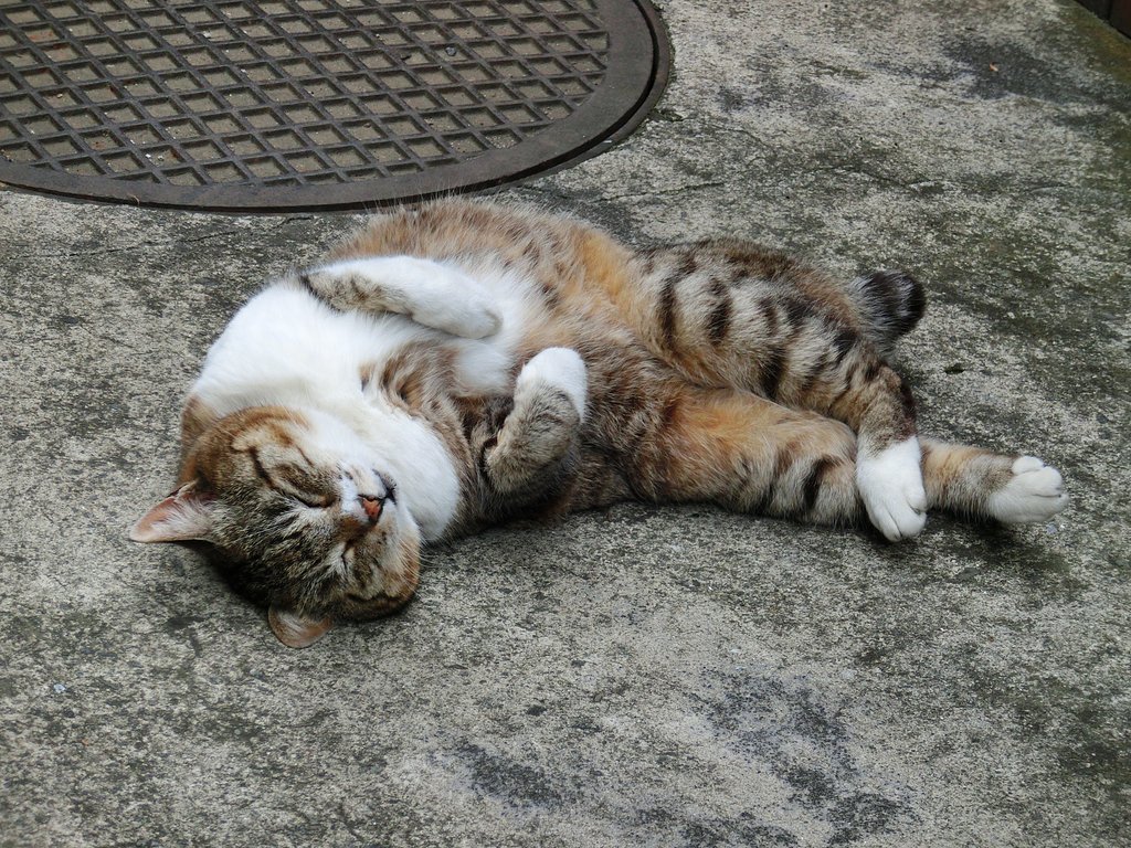 至福のひととき