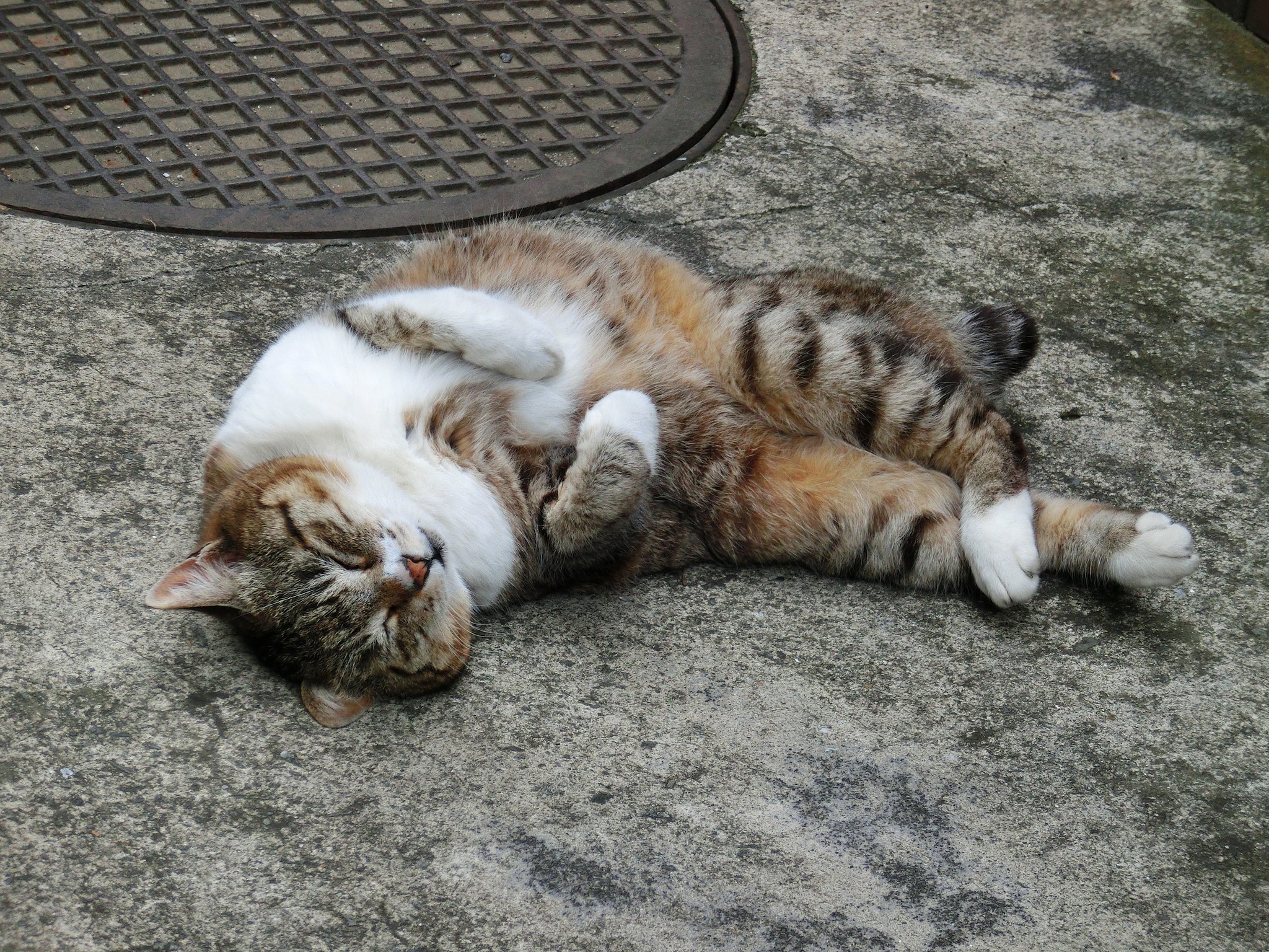 至福のひととき