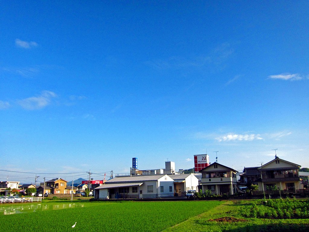 快晴です