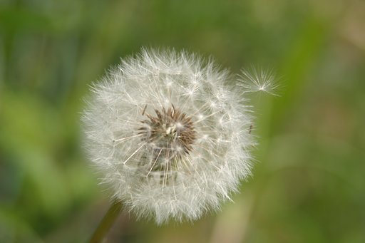 【動】そろそろ…