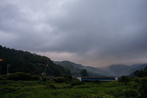 霧雨の朝・・。