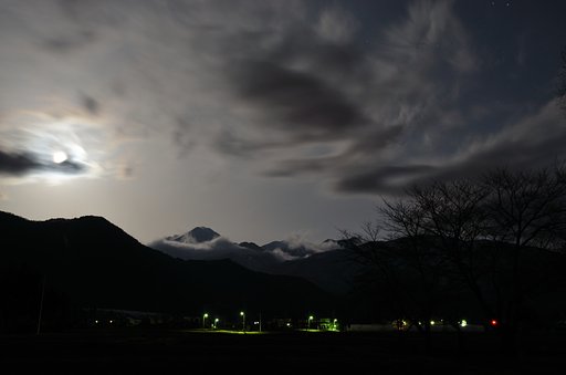 春月乱舞