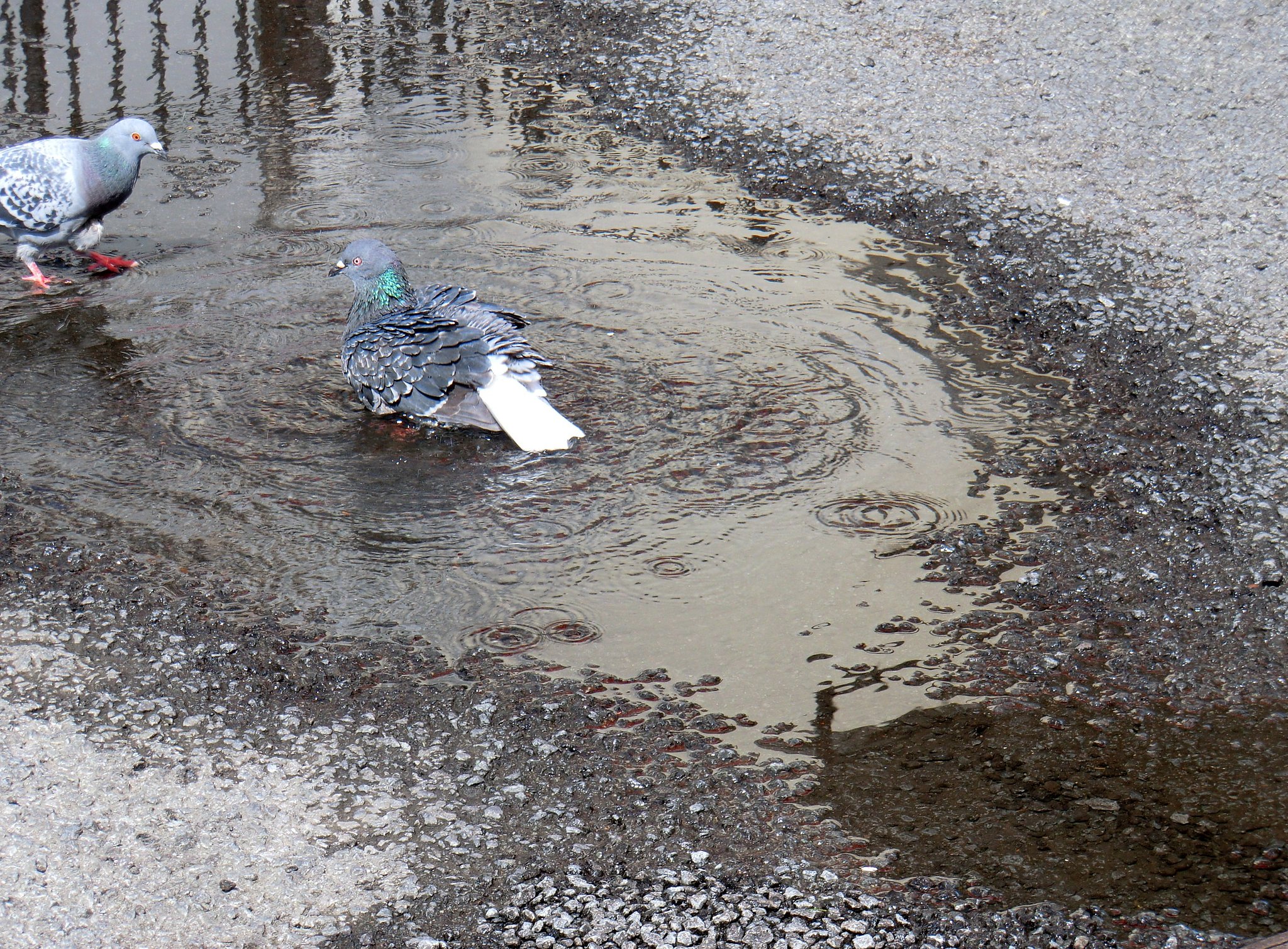 水温む