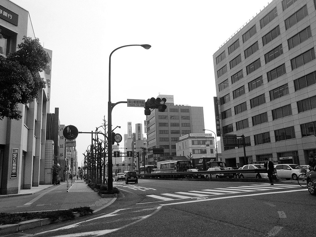 【道】自転車専用