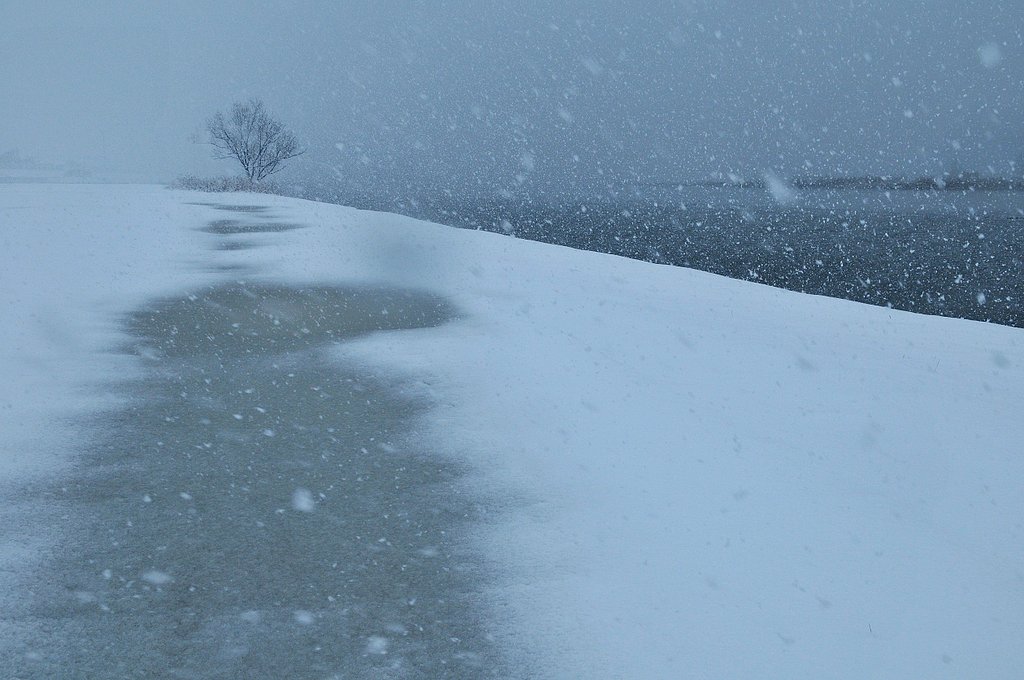 雪の河川敷