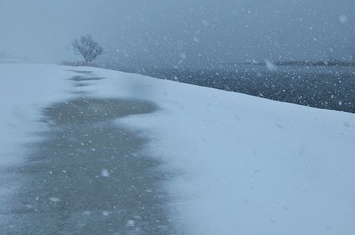 雪の河川敷