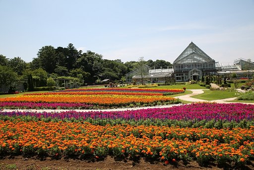 原色の風景