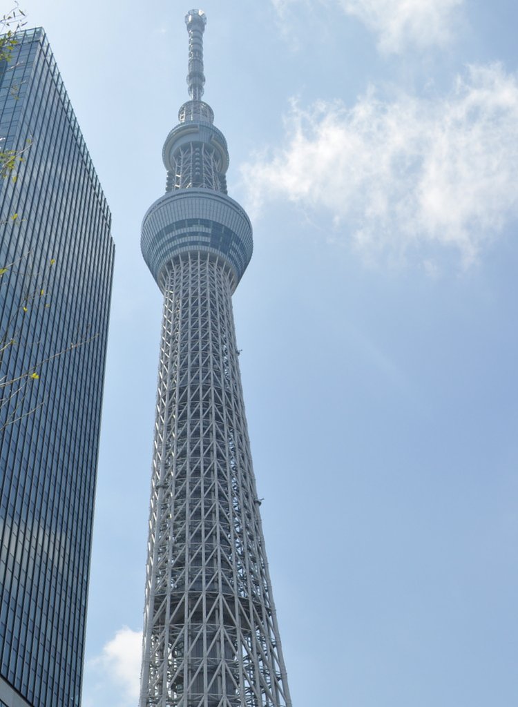 自転車駐輪場からの風景