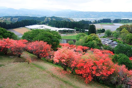 山つつじのある風景