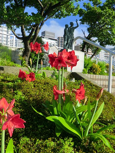 銅像とアマリリス
