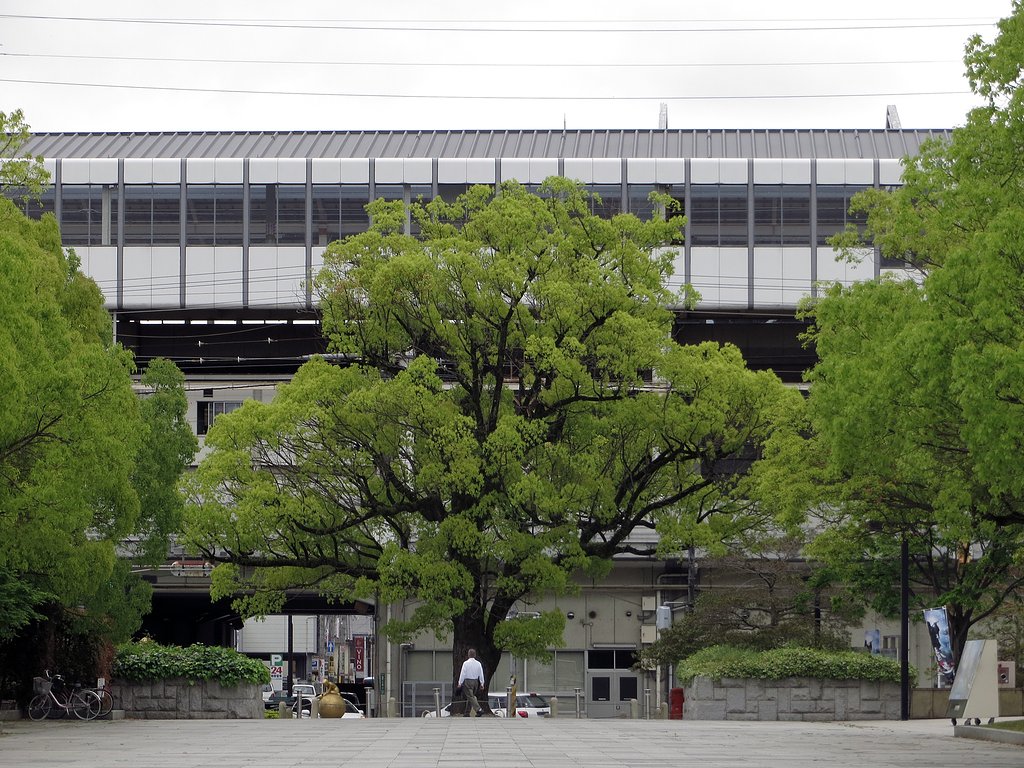 駅が近い