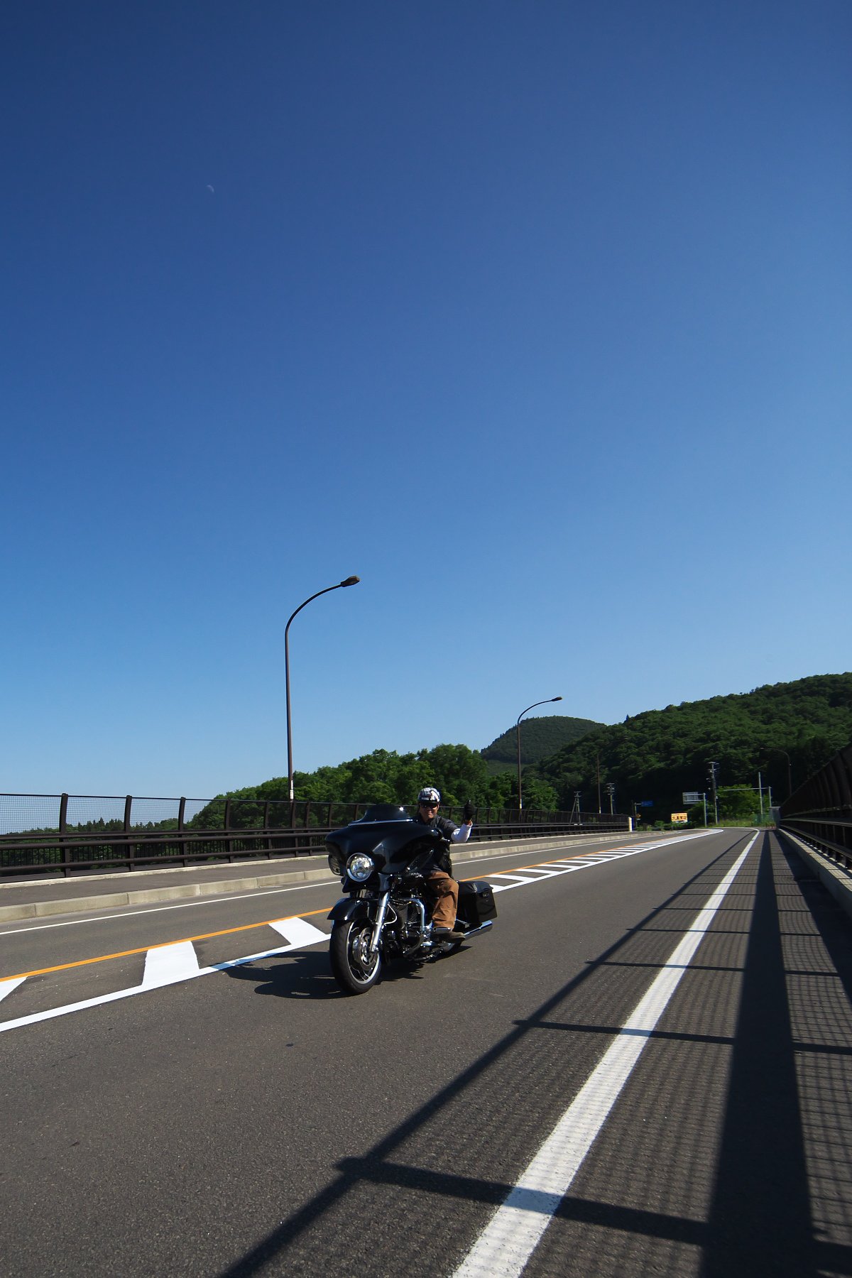 珍騒動