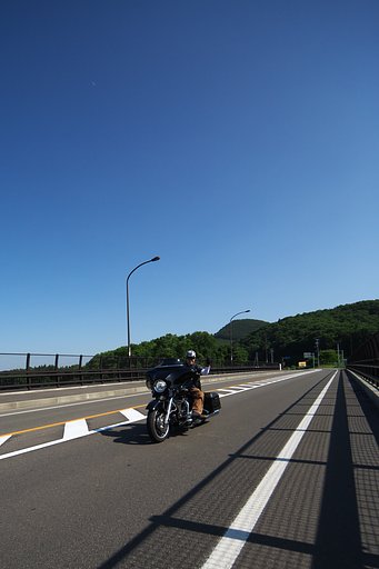 珍騒動