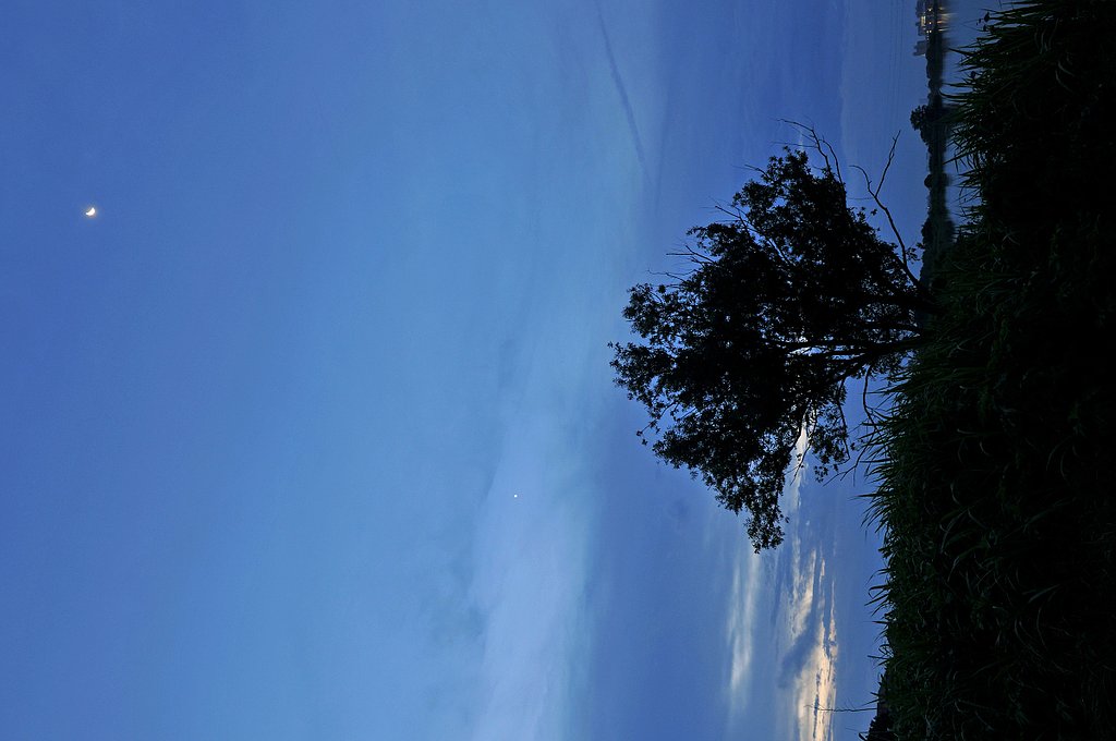 朝空