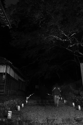 黄泉への参【道】