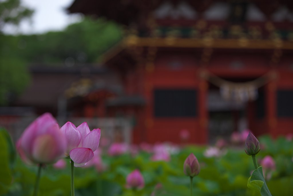 地元のロケ地