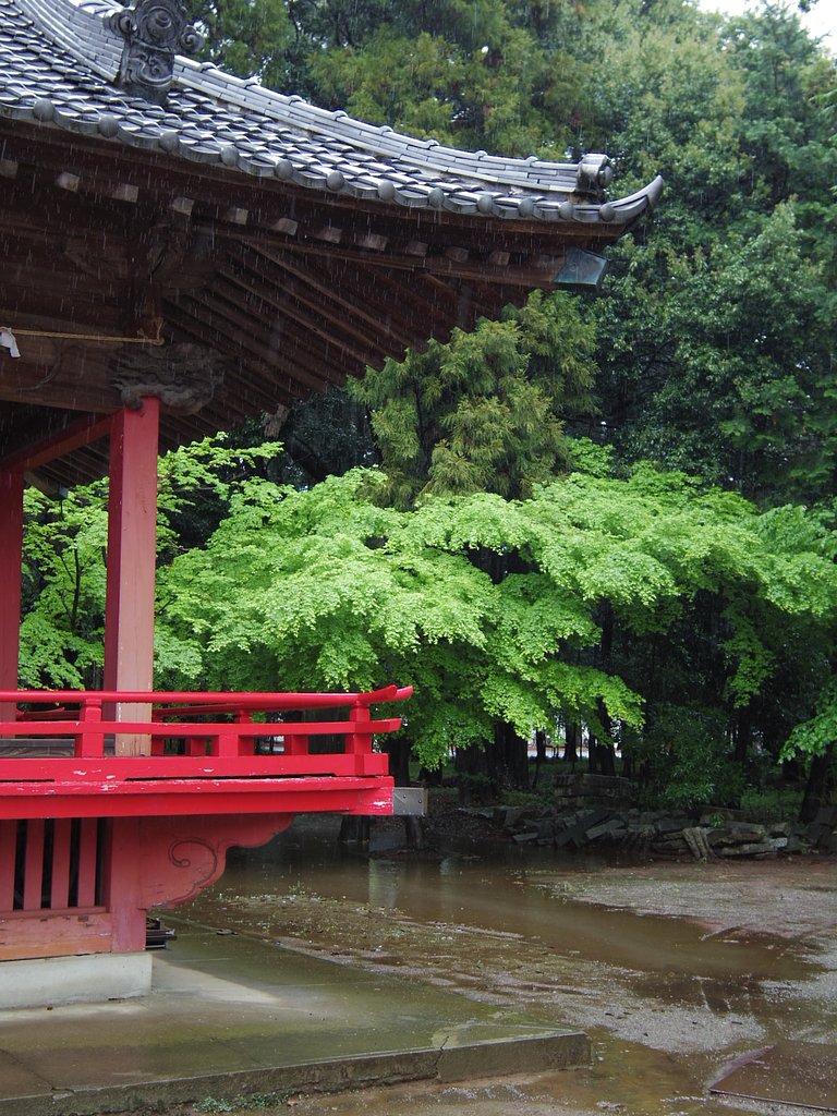雨粒を撮るには