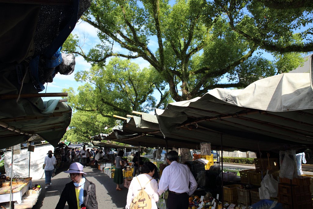 高知の朝市