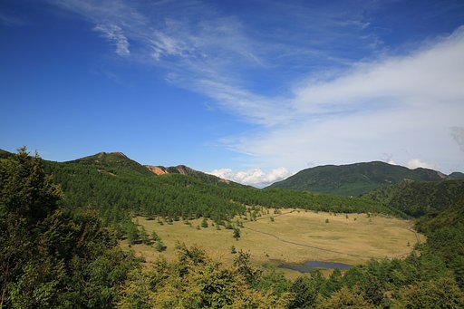 初夏の湿原の蒼い大気