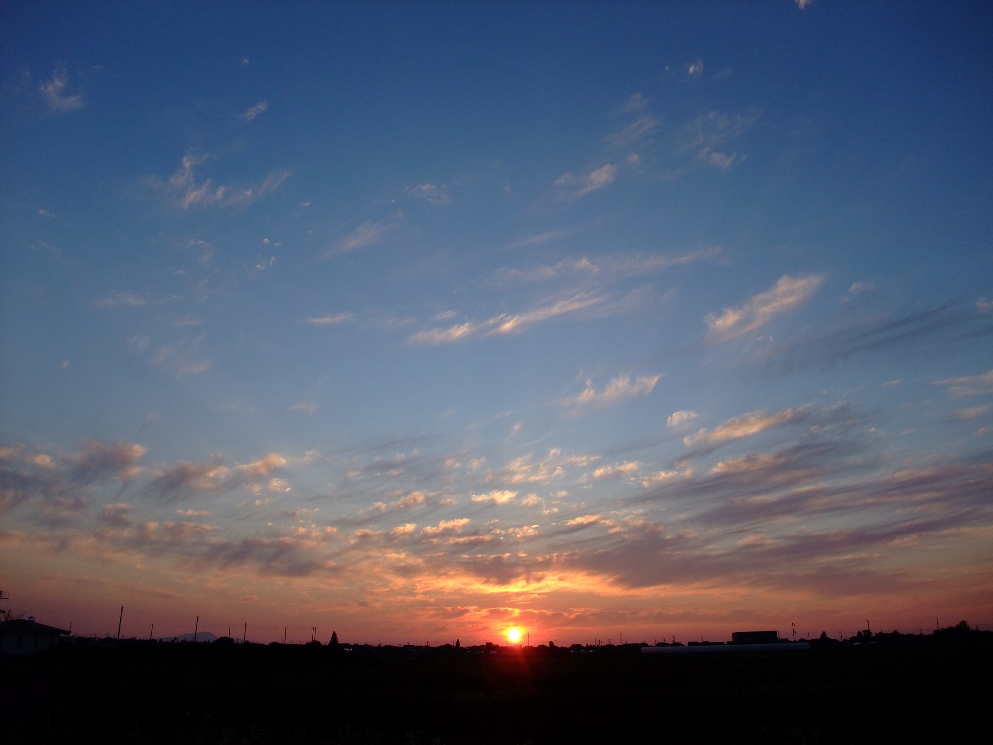 今日の夕日