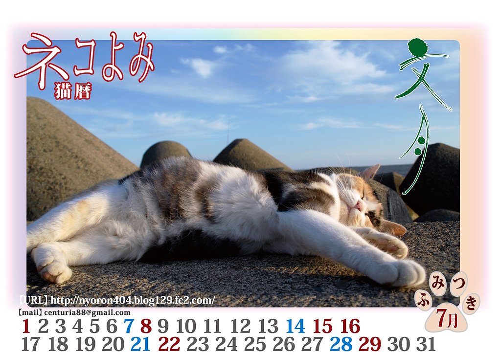 ねこよみ・・・ふみつき。。。