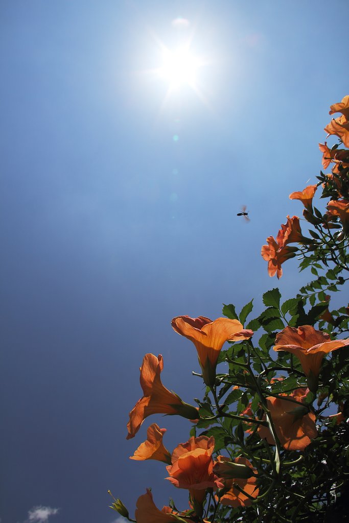 夏、暑〜い日
