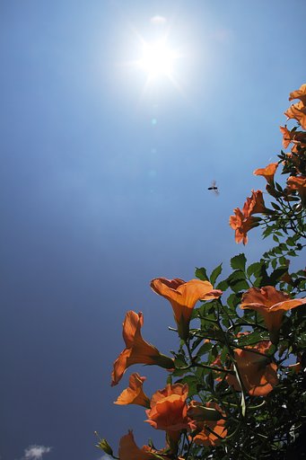 夏、暑〜い日