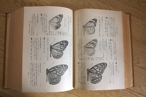 昆虫図鑑