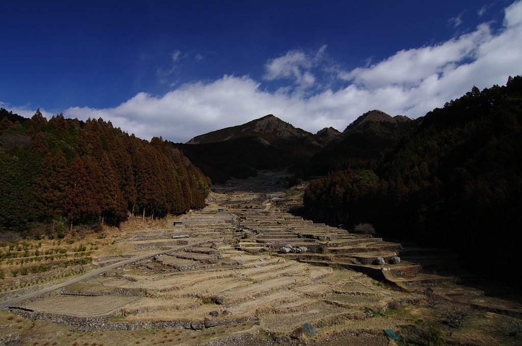 千枚田・冬