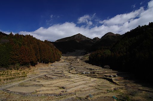 千枚田・冬