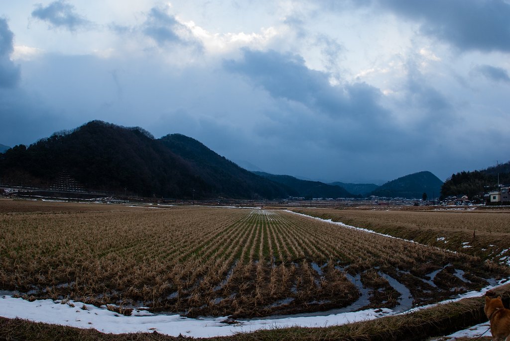弱い冬型の朝・・。