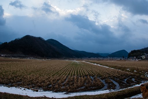 弱い冬型の朝・・。