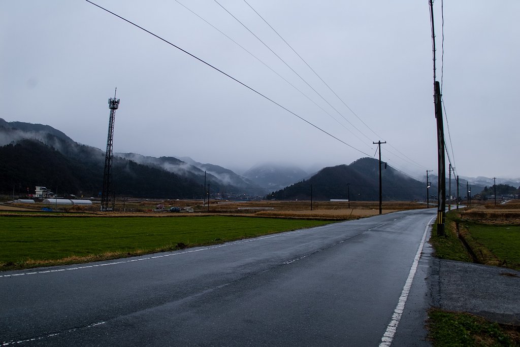 雨降りの朝です。