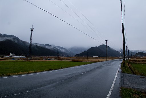 雨降りの朝です。