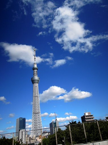 カラッとツリー