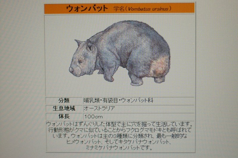 新クラブ入会希望