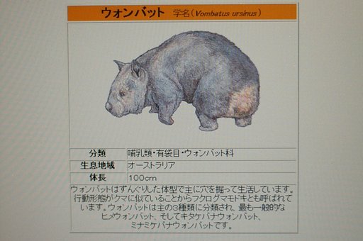 新クラブ入会希望