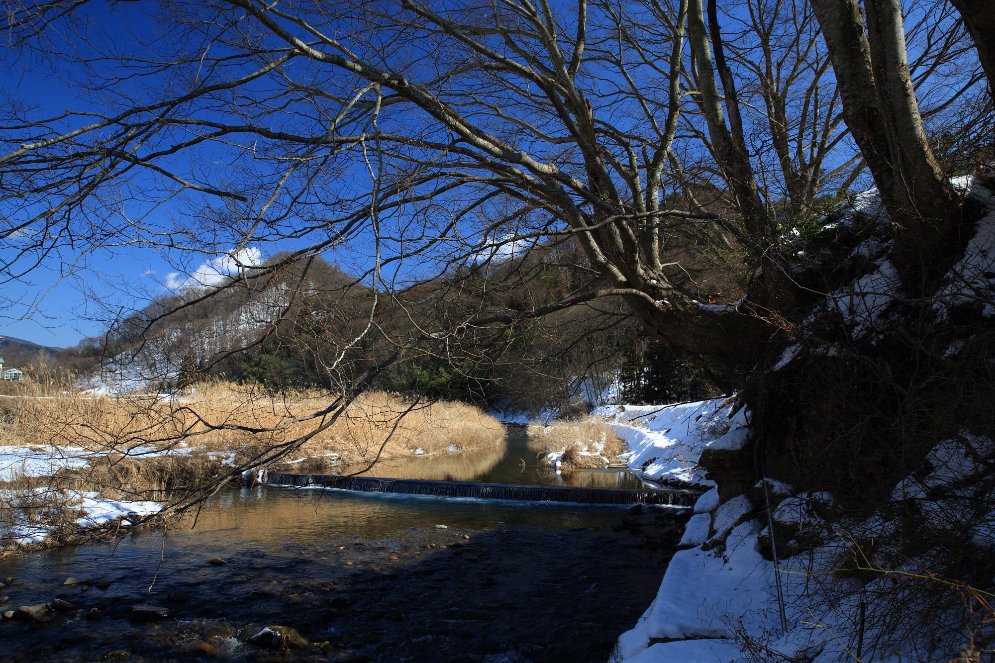 寒波の休息