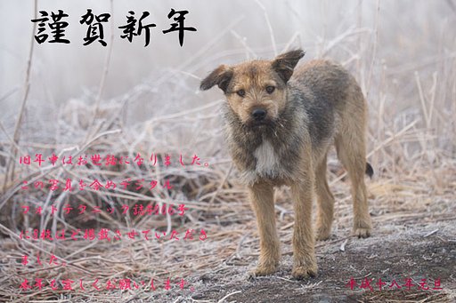 謹賀新年