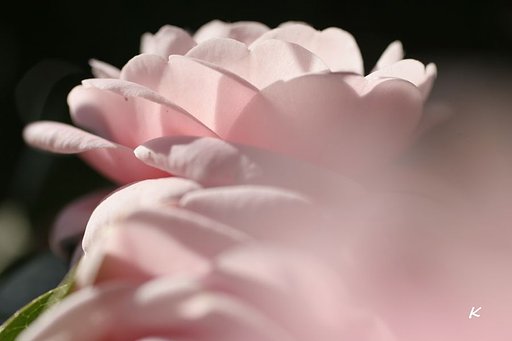折り重なるように・・・