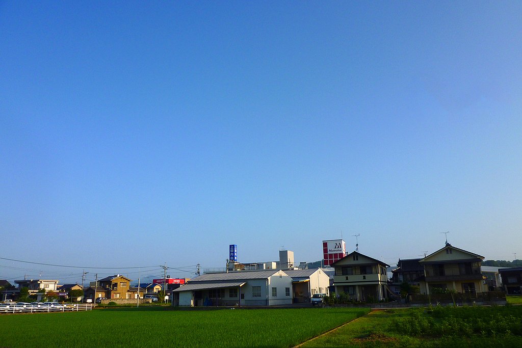 快晴の今朝