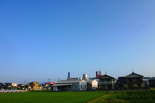 快晴の今朝