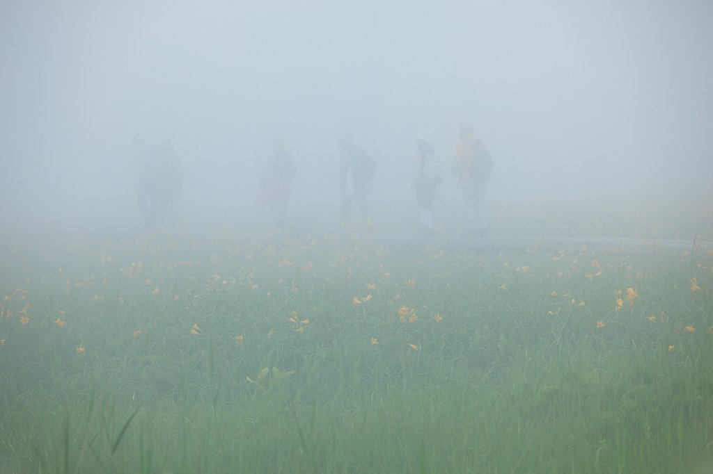 THE FOG