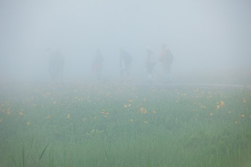 THE FOG