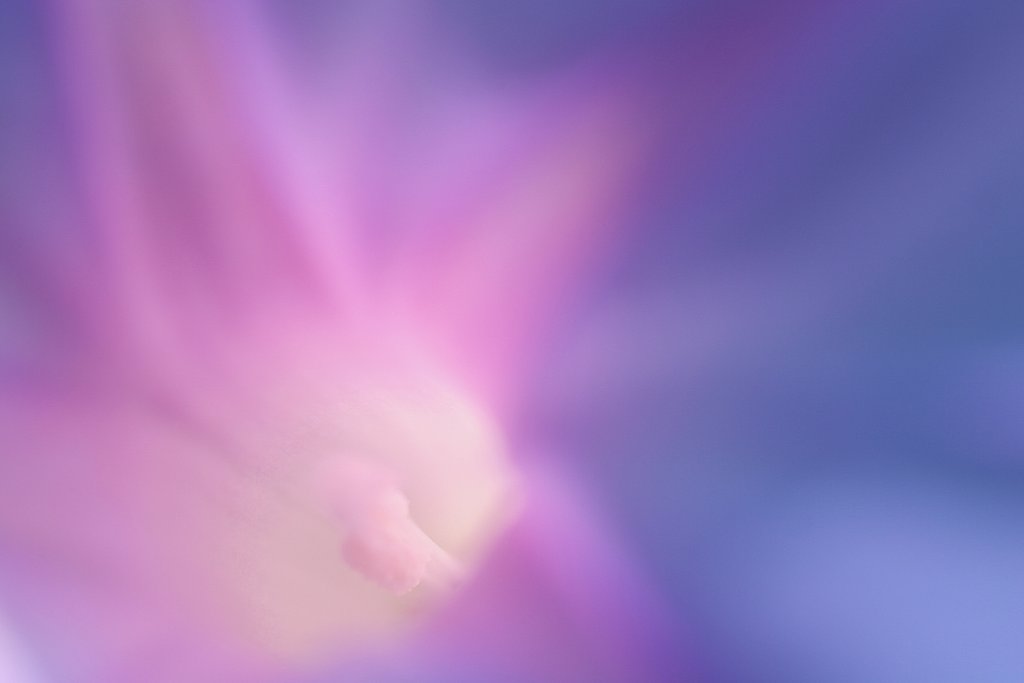 あまりの暑さに・・・
