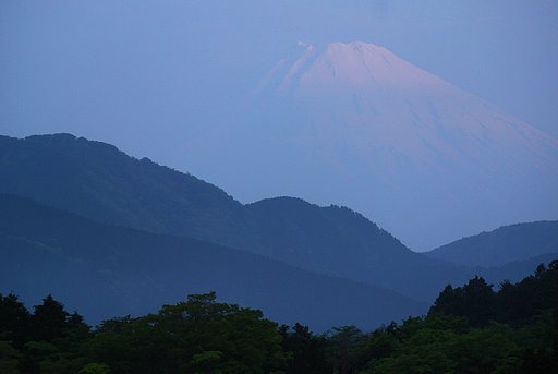 淡麗富士